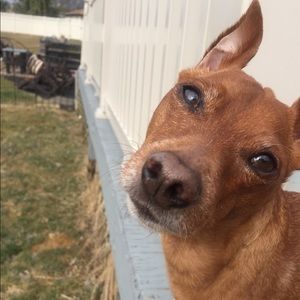 Meet your Posher, Robyn